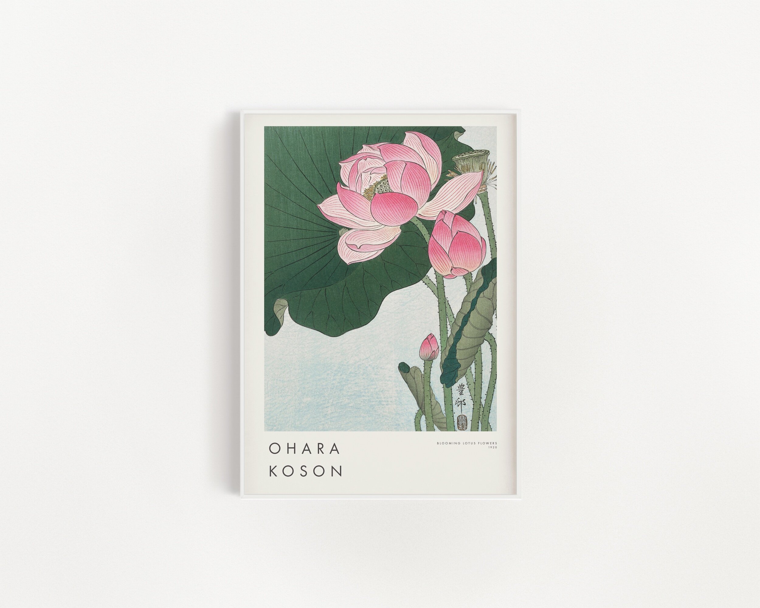 Blooming Lotus Flowers, Ohara Koson