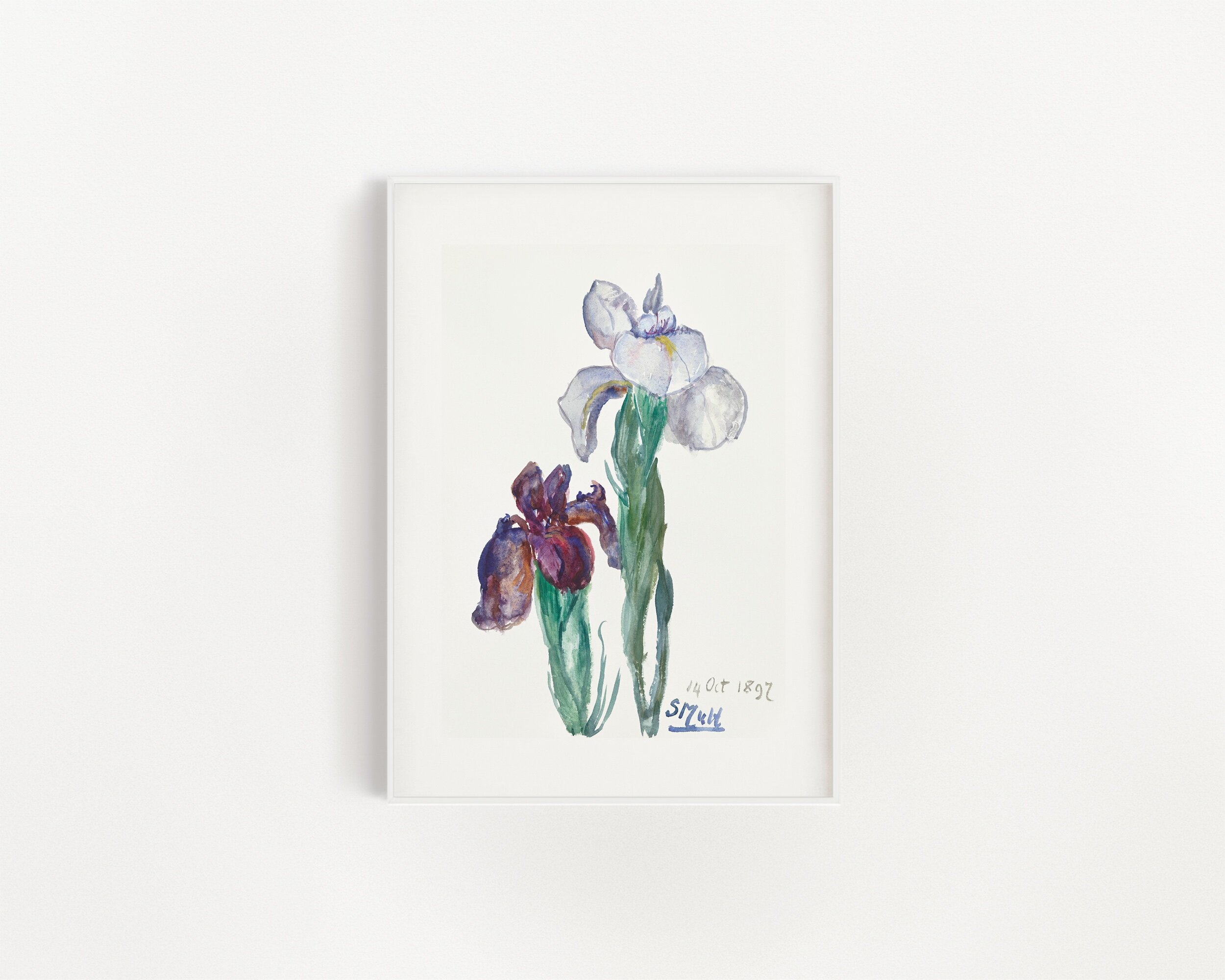 Irises, Sientje Mesdag-van Houten